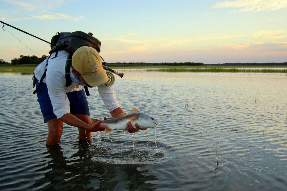 Beaufort & Hilton Head Fly Fishing/Inshore Fishing Beaufort SC